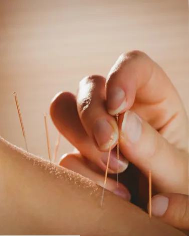 PromptHealth wellness community